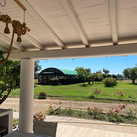 Villa Olga Tarquinia Exterior foto