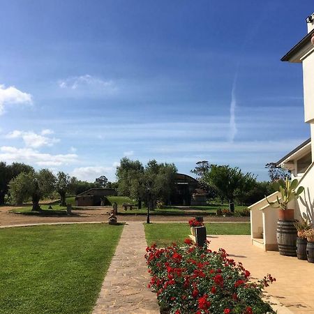 Villa Olga Tarquinia Exterior foto