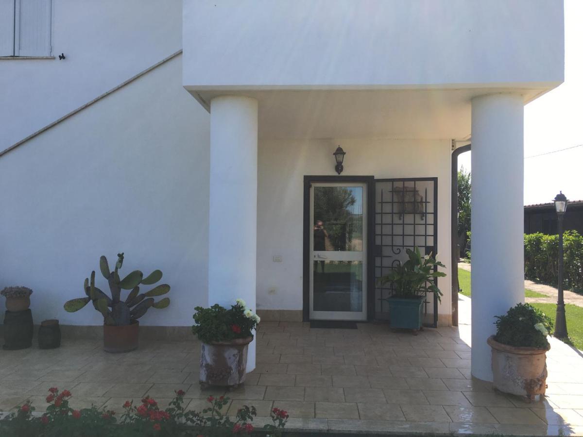 Villa Olga Tarquinia Exterior foto