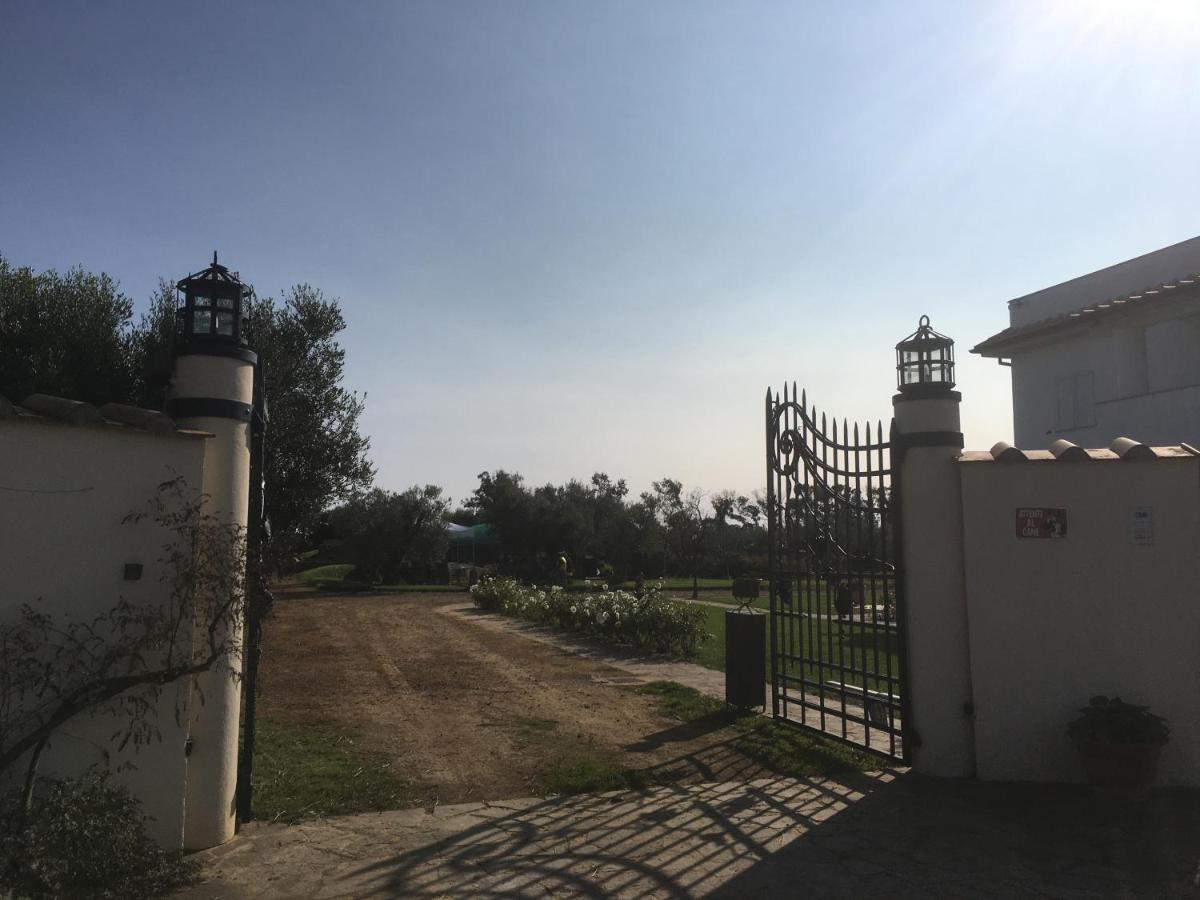 Villa Olga Tarquinia Exterior foto