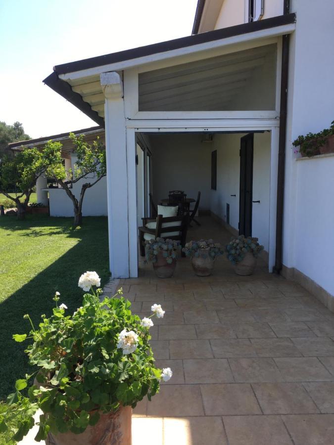 Villa Olga Tarquinia Exterior foto