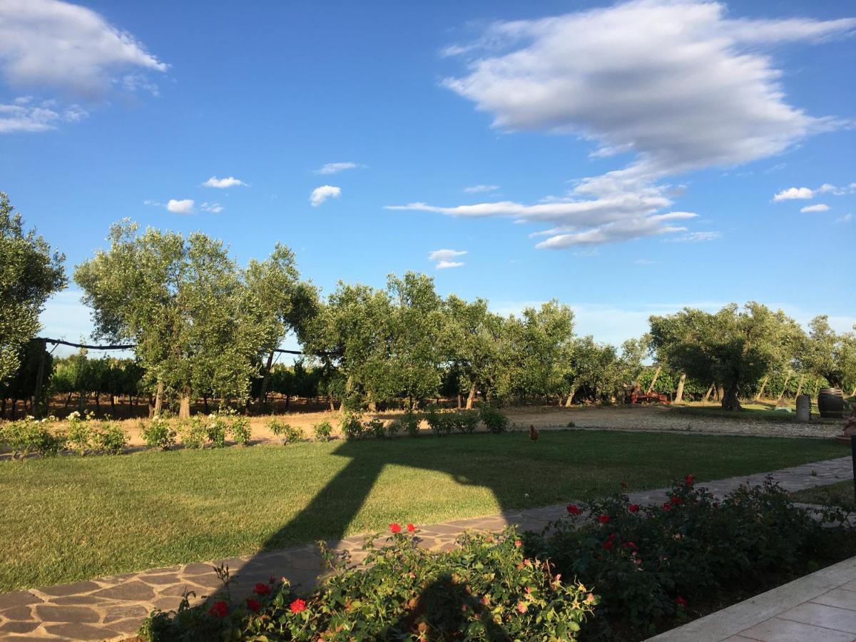 Villa Olga Tarquinia Exterior foto