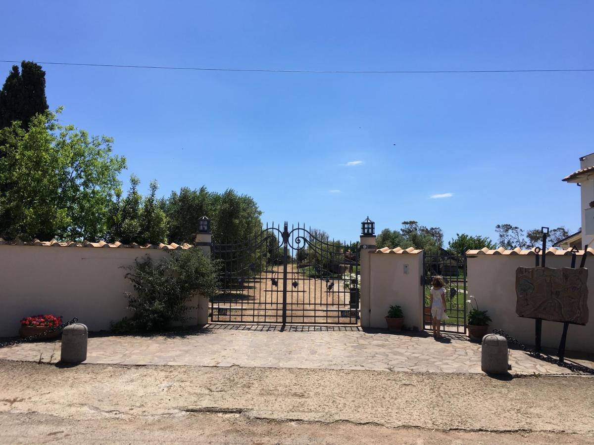 Villa Olga Tarquinia Exterior foto