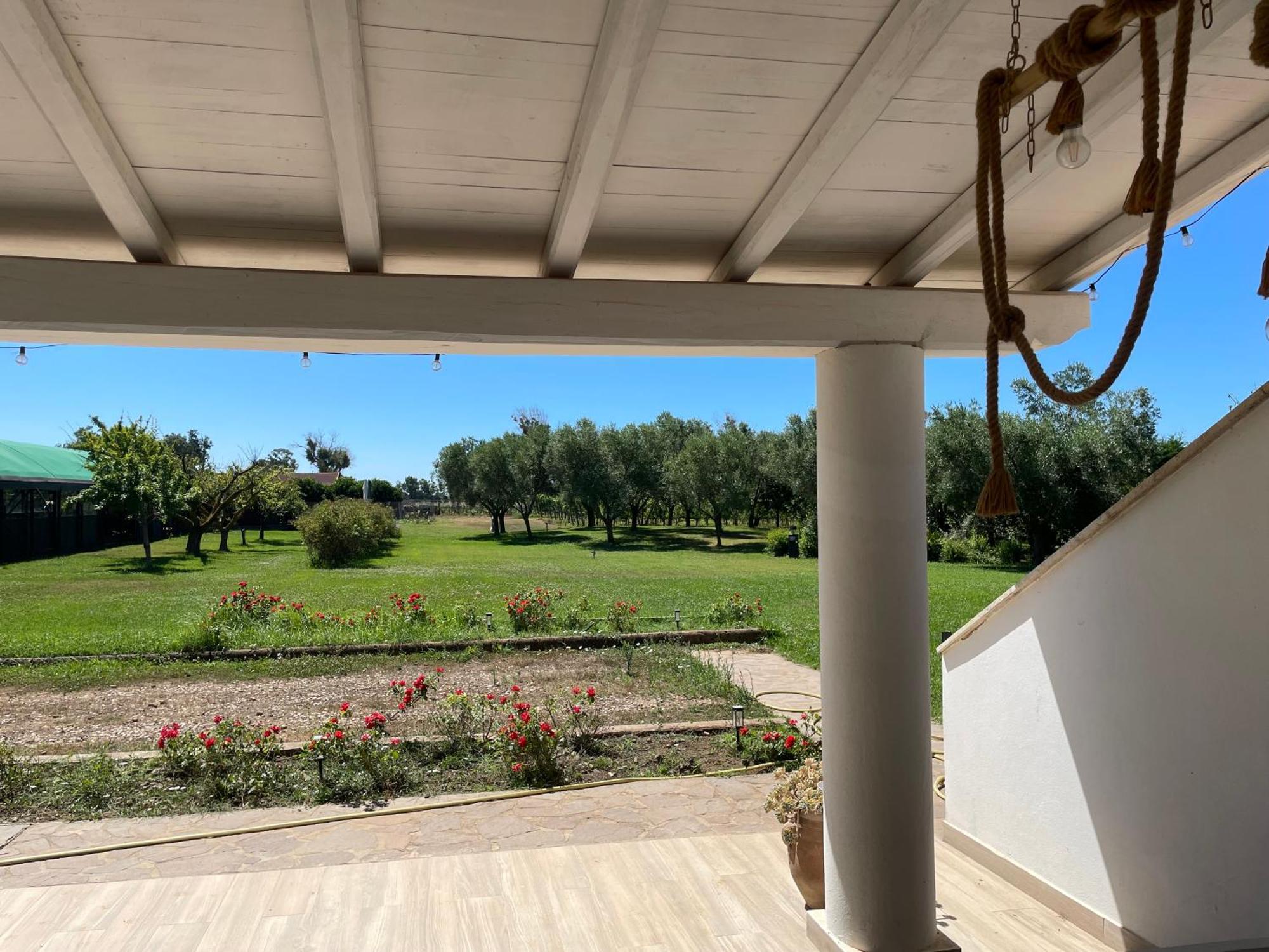 Villa Olga Tarquinia Exterior foto